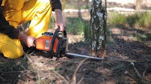 Mulching Services in Fall Creek, WI